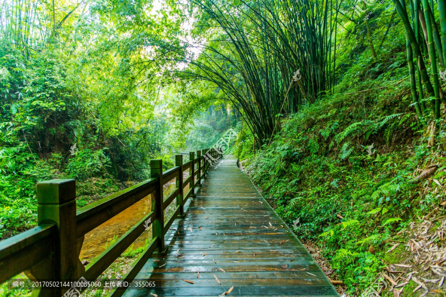 青城后山