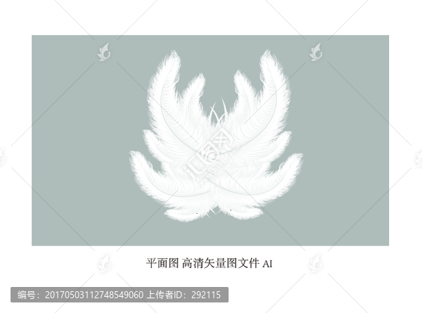羽毛