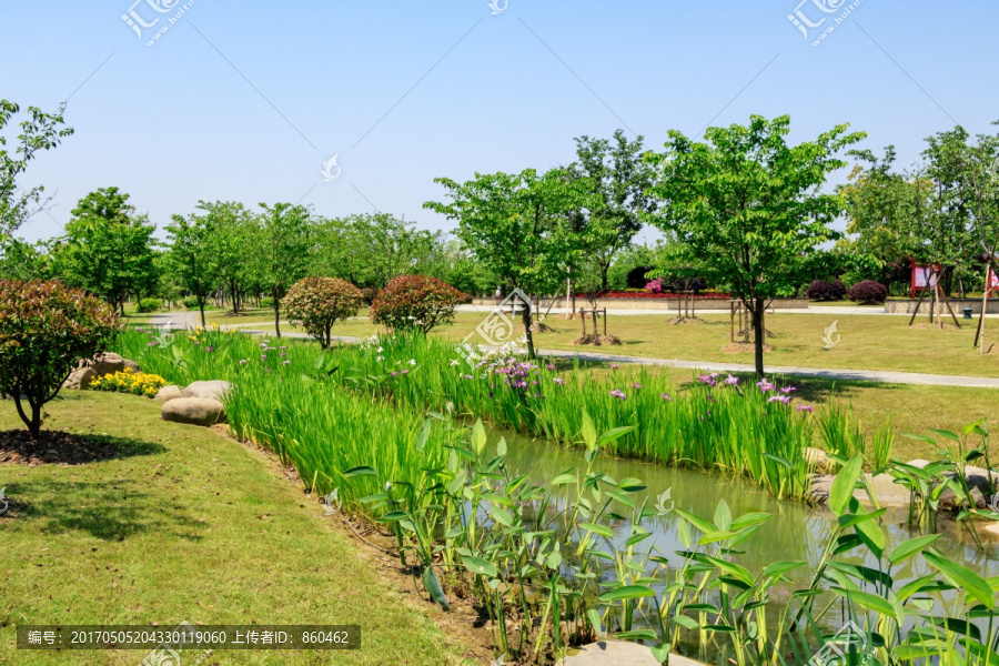 植物园景观,植物园,公园环境