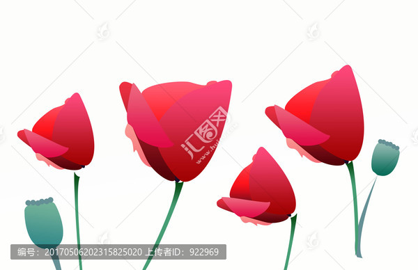 紅花,玫瑰花