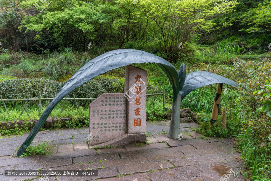 武夷山大红袍风景区