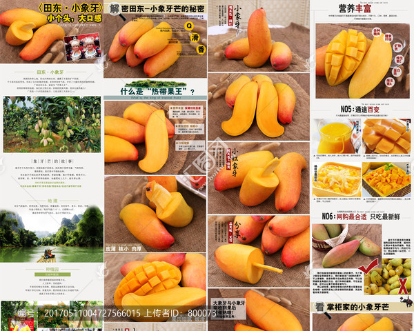 紅小象牙芒詳情頁(yè)模板