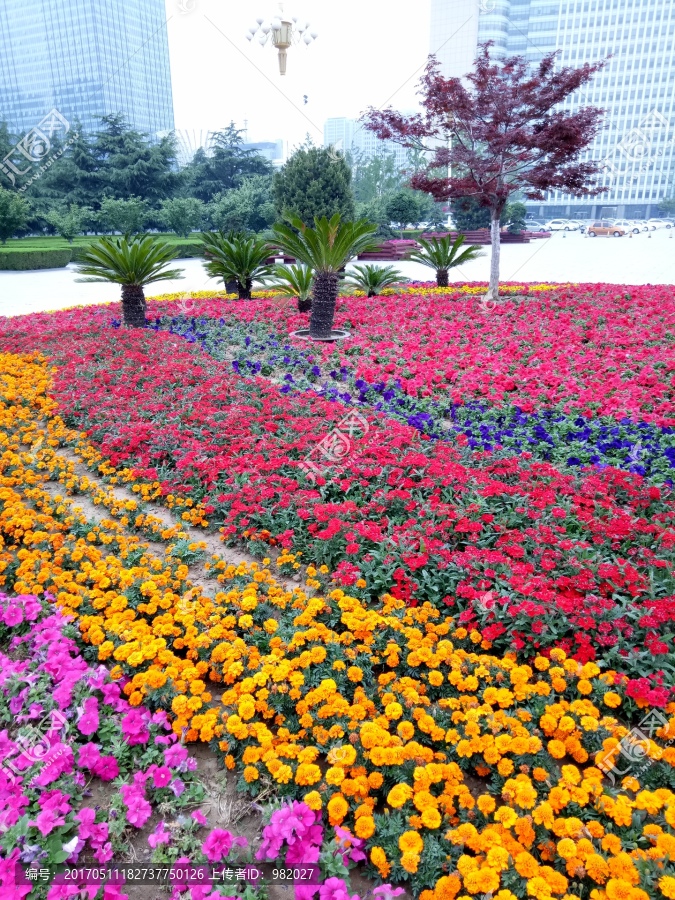 花丛,城市绿化