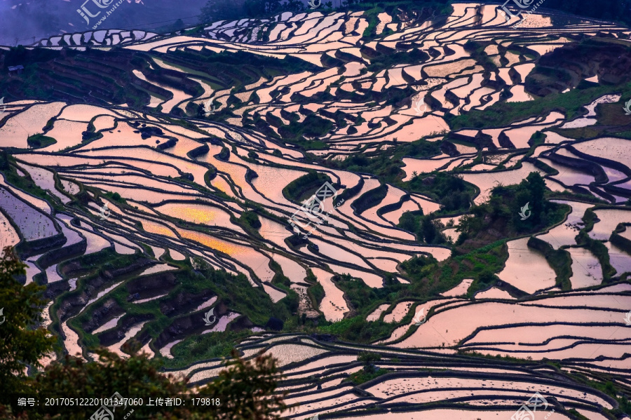 梯田,元阳梯田