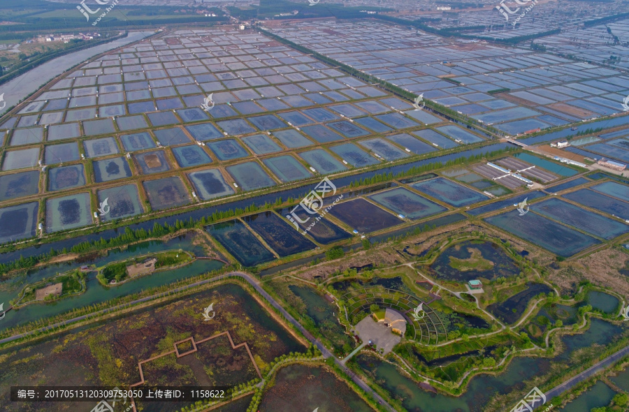 航拍洪泽湖湿地公园自然景观