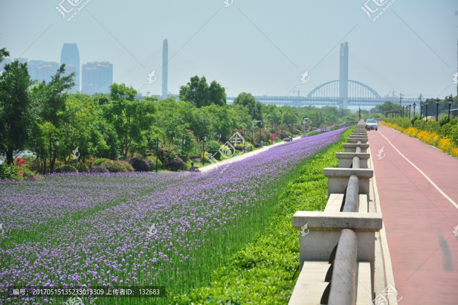 花海公园