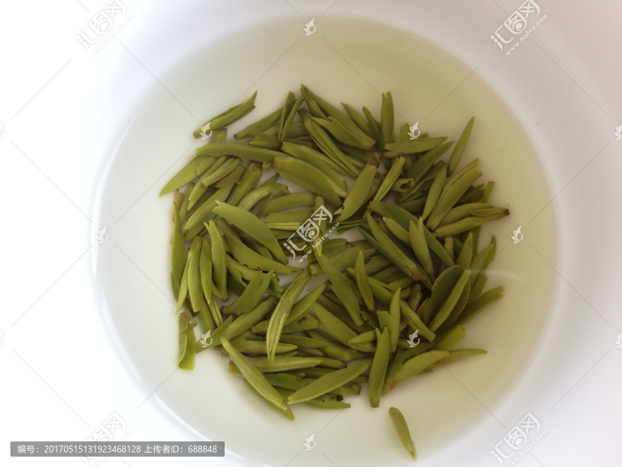 沏泡雀舌茶