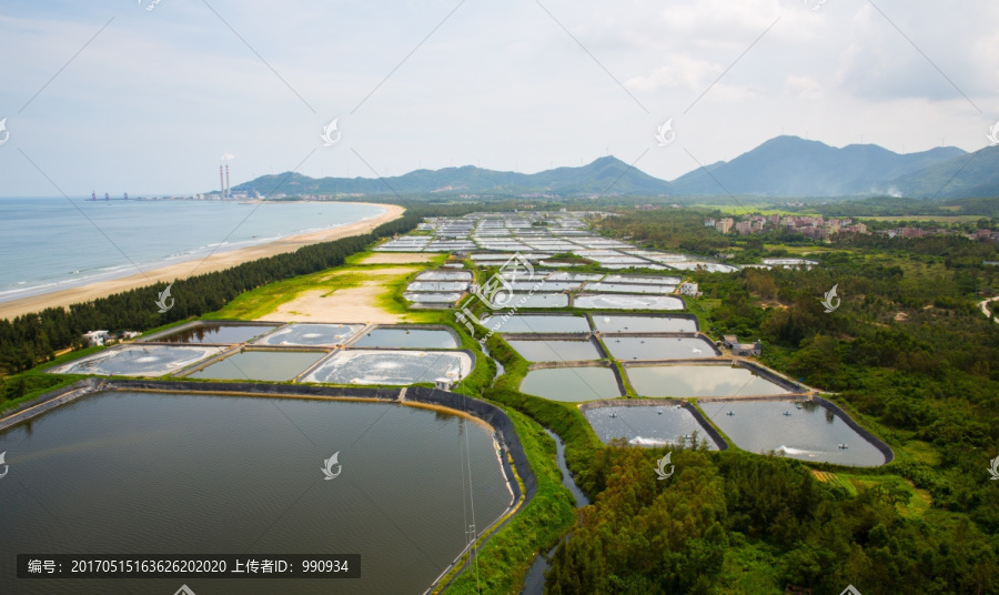 虾塘,池塘,养殖