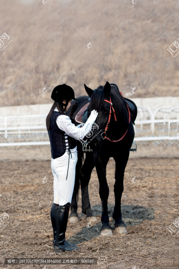 女骑士与马
