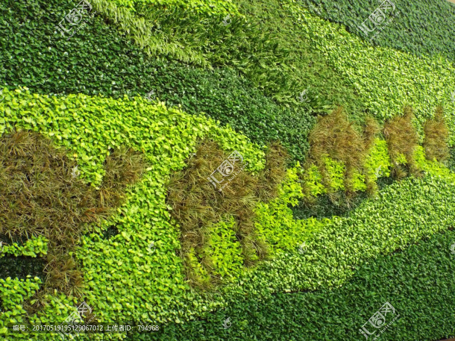 植物背景墙,丝绸之路