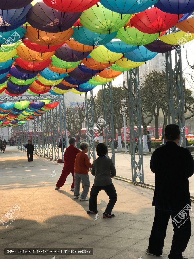 晨练,太极拳