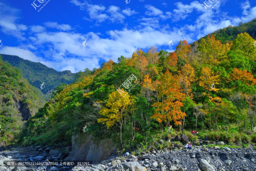 山涧景色