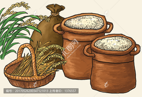 稻米雜糧插畫