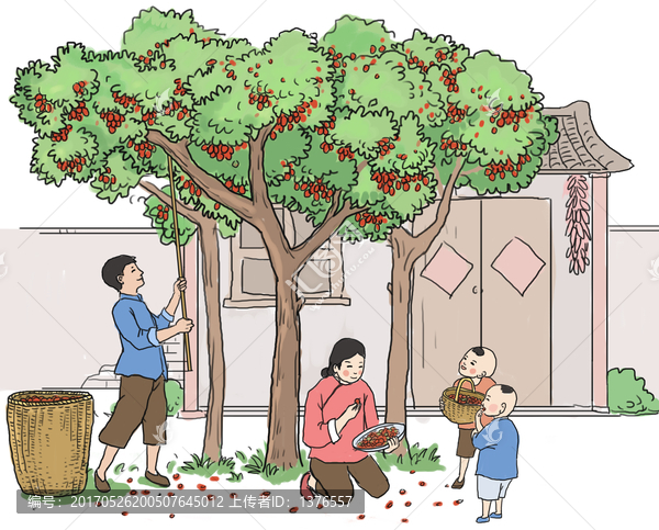 農(nóng)民打棗摘棗