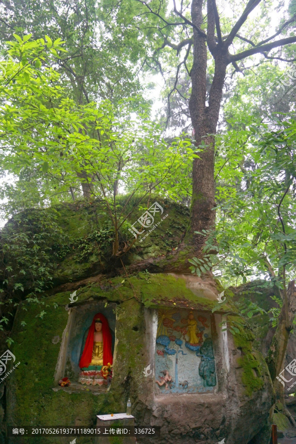 乐至报国寺古树抱佛,摩崖造像