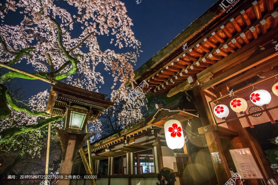 京都平野神社夜色