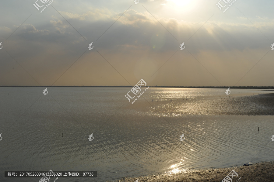 七里海湿地