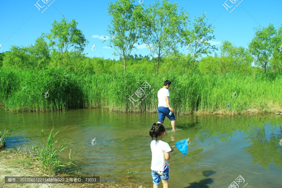 湿地捉鱼