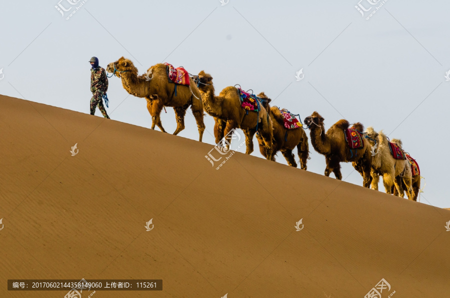 驼队沙漠沙丘