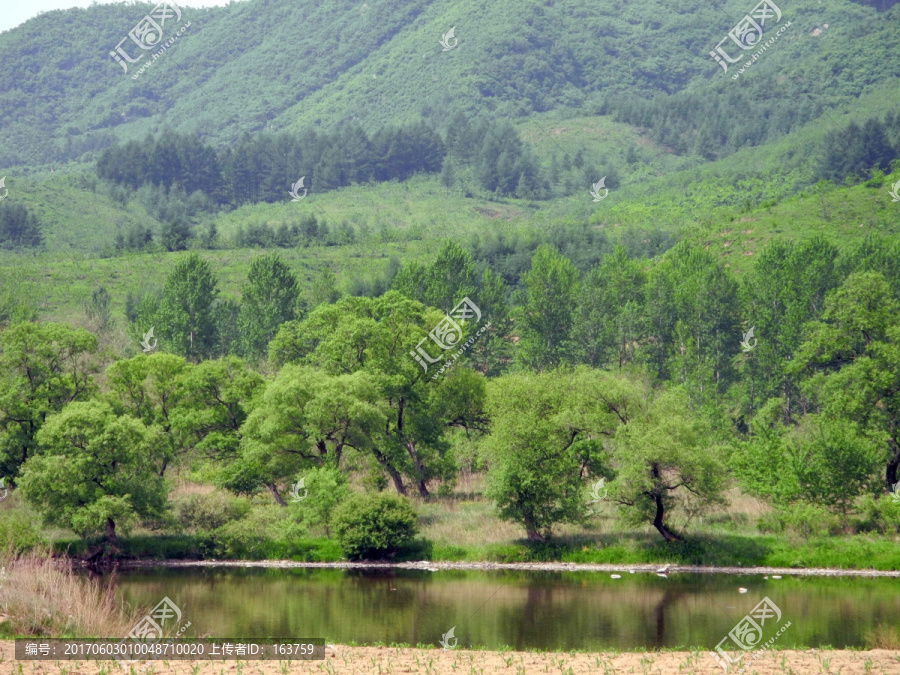 大山脚下的树与河