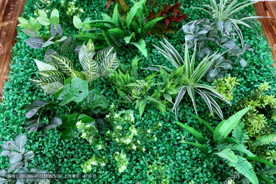 植物墙背景,背景墙,植物景观墙