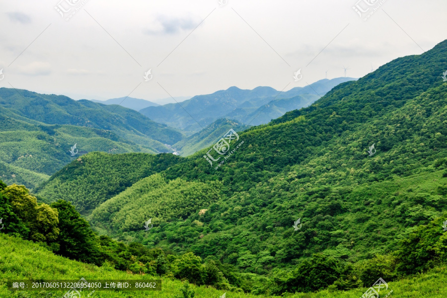 山区风景,山谷森林