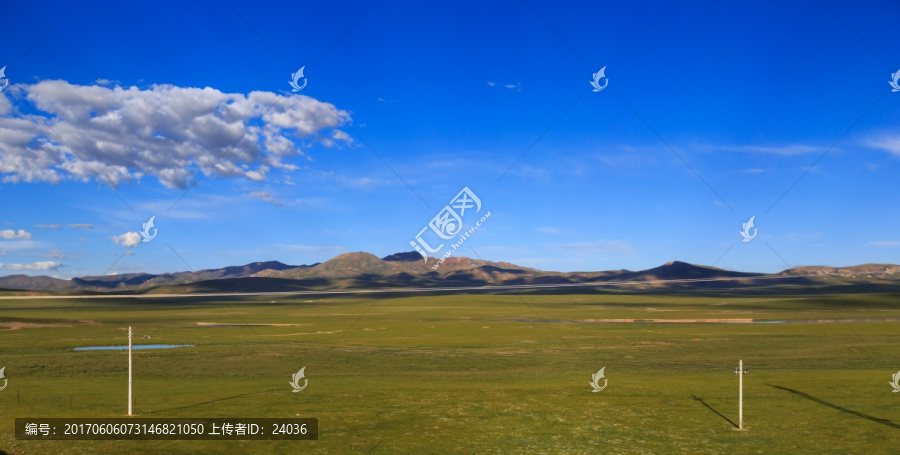 青藏高原,草原风光
