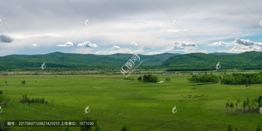 大兴安岭湿地全景