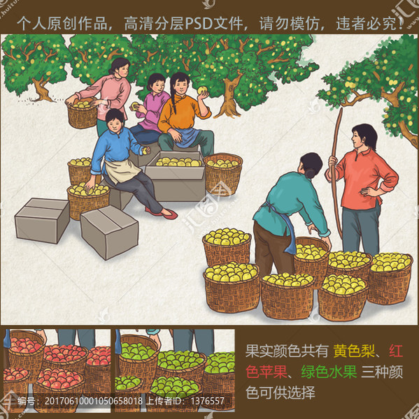 梨蘋果水果豐收