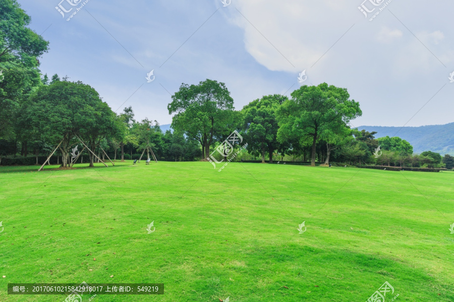 蓝天树林草地