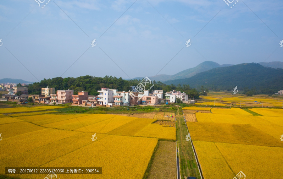 田野,田园风光,乡村