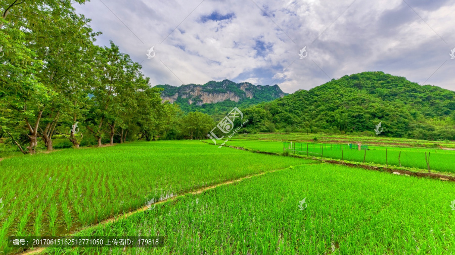 田野,世外桃源