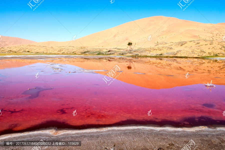 极致美红色沙漠湖泊白色结晶风景