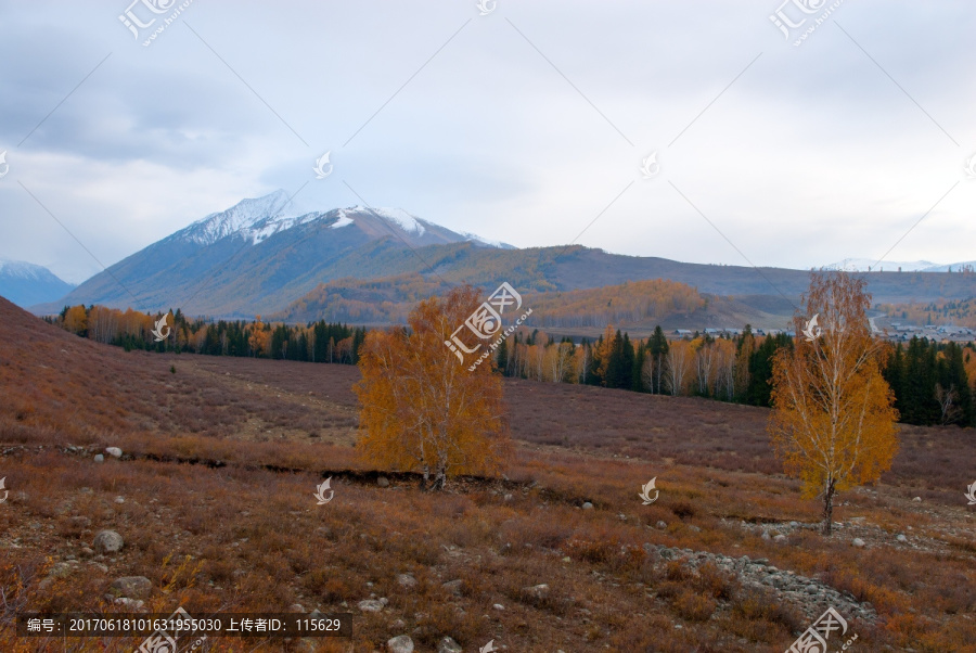 大美禾木秋季新疆风景