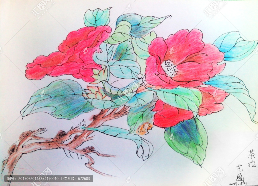 國畫山茶花