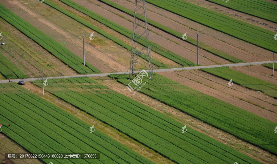 麦田远景