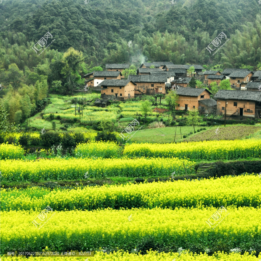 婺源春色风景