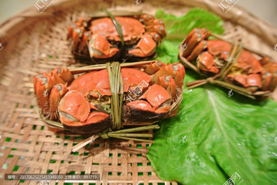 大闸蟹素材