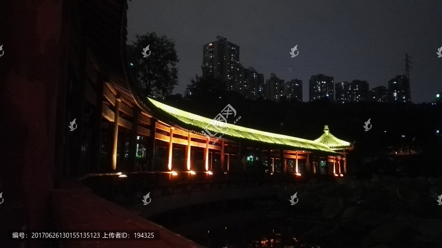 龙头寺公园夜景