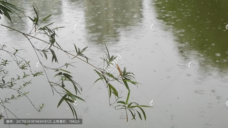 小雨点