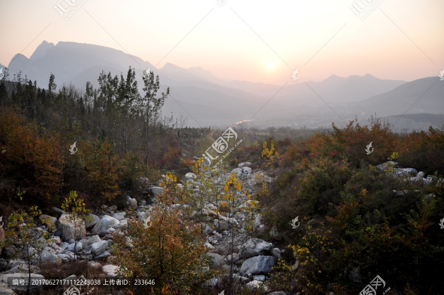 高山景色