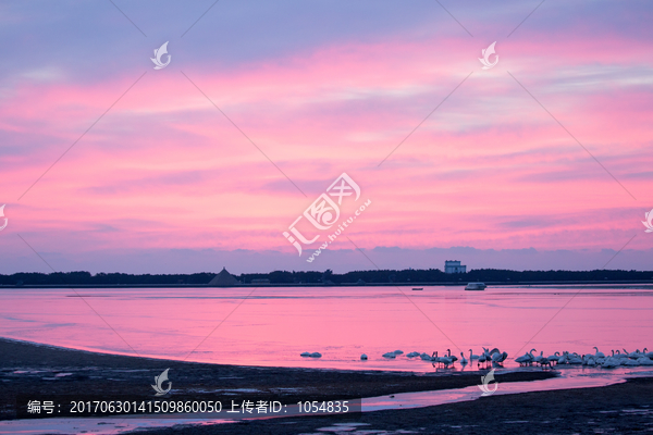 天鹅湖朝霞