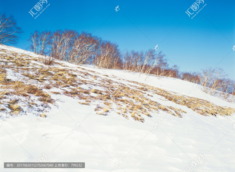 长白山雪景