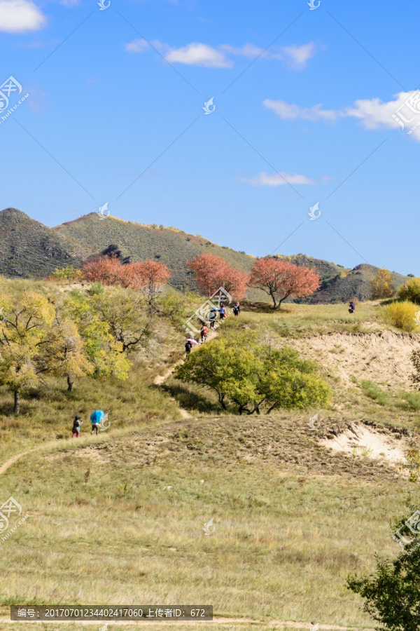 蛤蟆坝附近山丘秋景