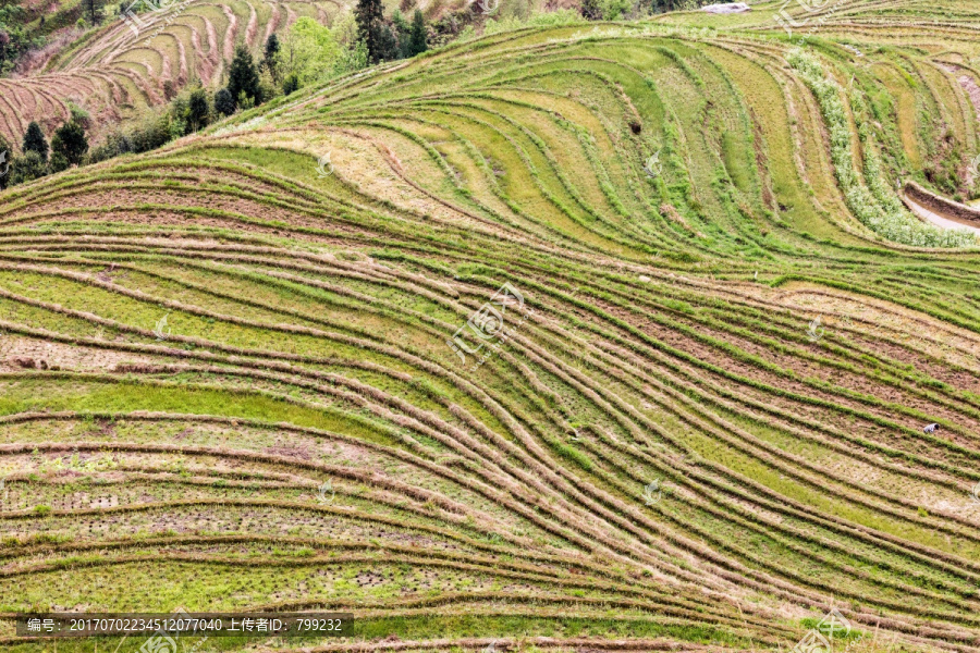 龙脊梯田从视点数2000层观察到天堂,龙胜,中国