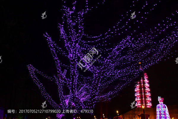 彩灯,城市亮化,树木,春节