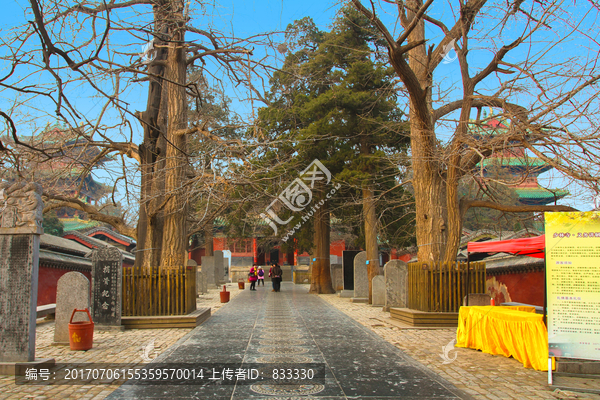 少林寺,登封