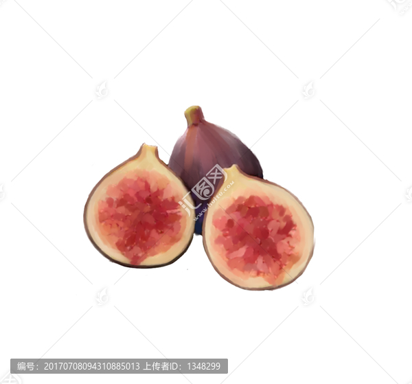 手繪無花果