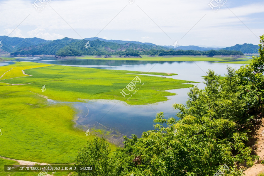 辽宁丹东绿江村油菜花田