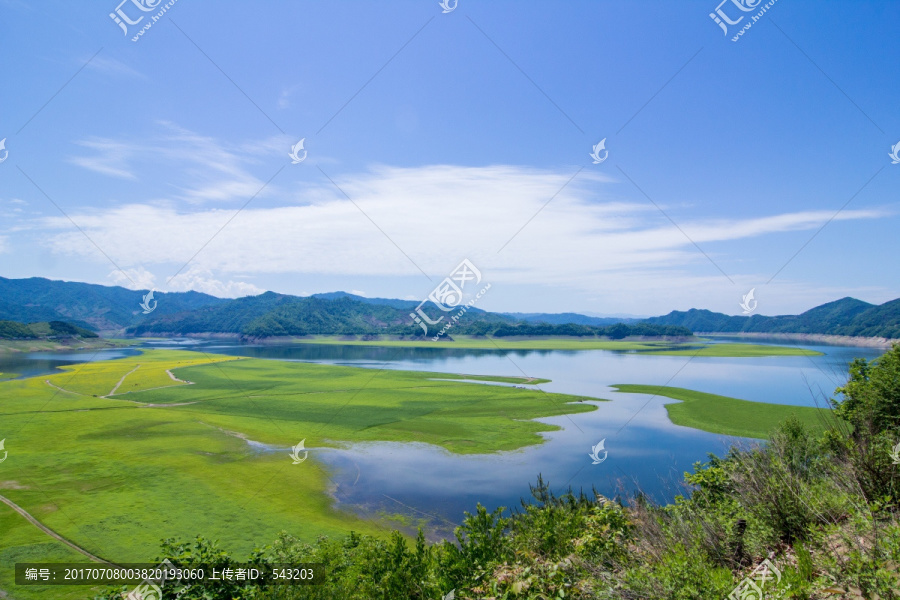 辽宁丹东绿江油菜花田